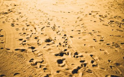 What the poets can teach us
