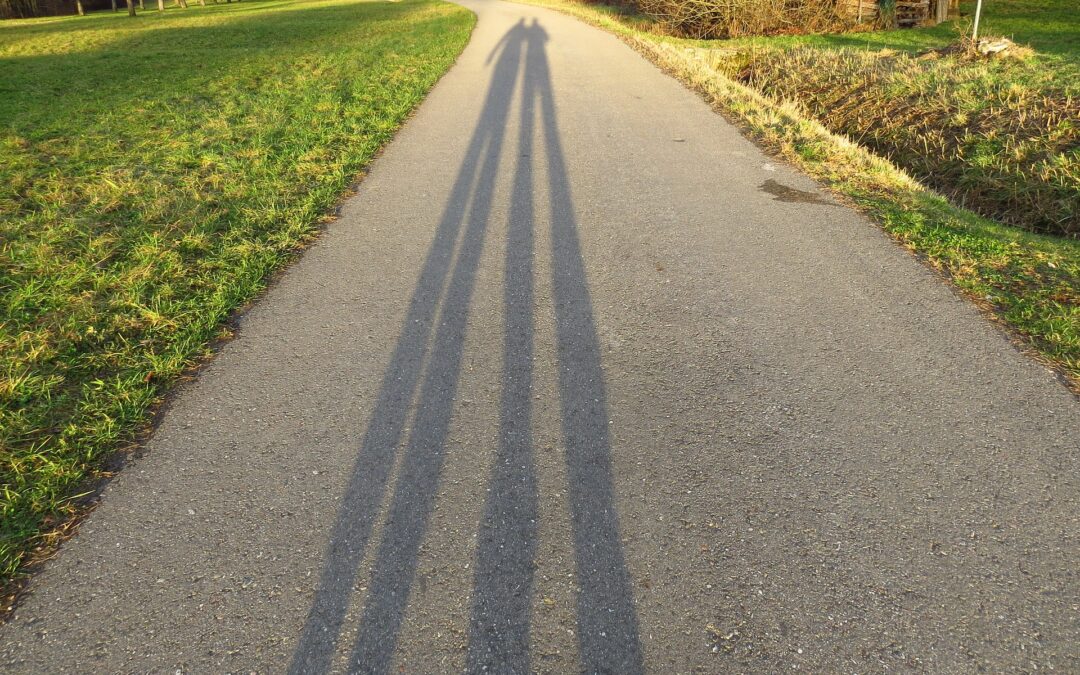 This bit of earth and sky