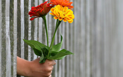 Parting gifts – part five/5 – hello