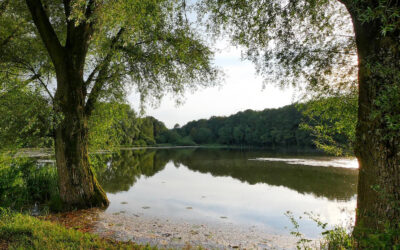 Riverbank