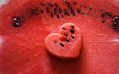 Watermelon friend
